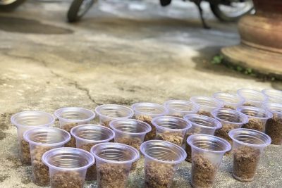 HOẠT ĐỘNG TRẢI NGHIỆM CỦA TRẺ MẪU GIÁO TẠI TRƯỜNG MN NGHĨA HÒA